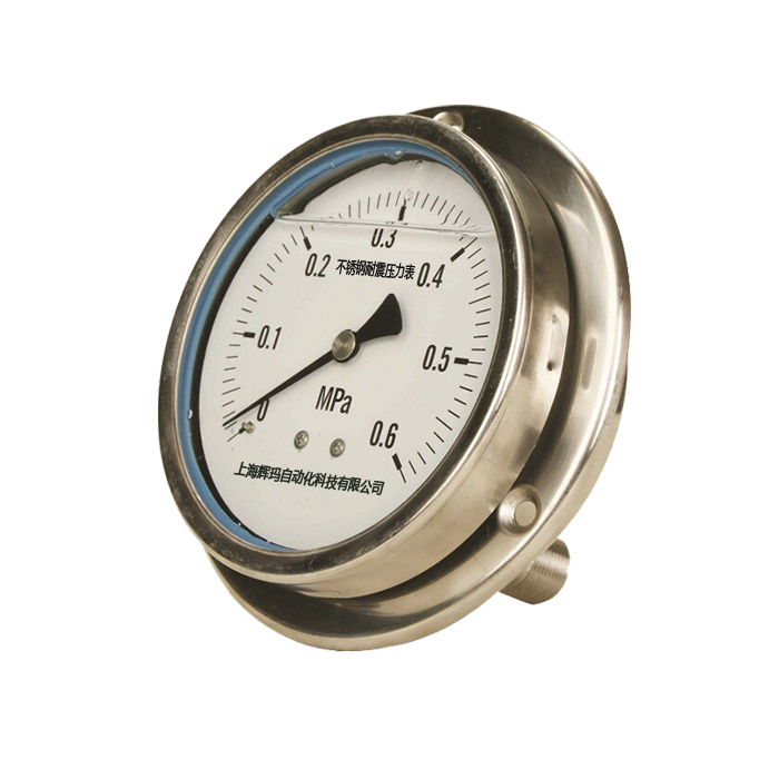 不銹鋼軸向帶邊壓力表.jpg